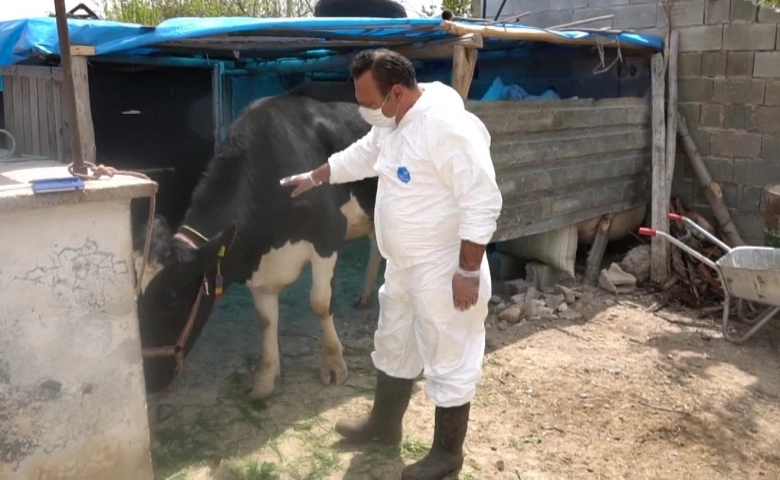 Şahinbey Belediyesin'den hayvan yetiştiricilerine destek