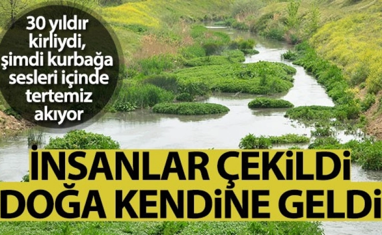 Doğa kendine geldi