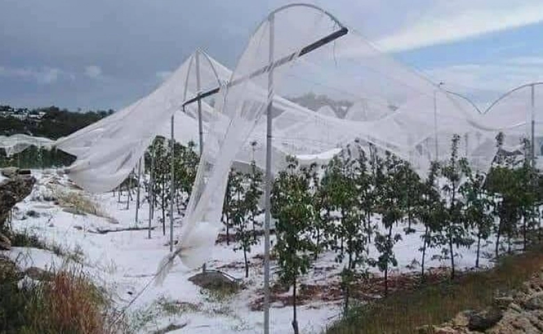 Mersin'de dolu afetinin bilançosu ağır