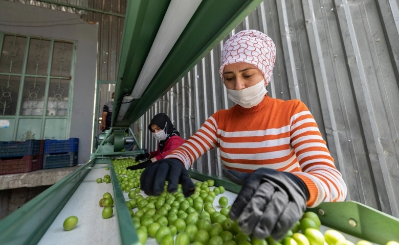 Mersin Büyükşehir Belediyesi'nden erik üreticisine makine desteği