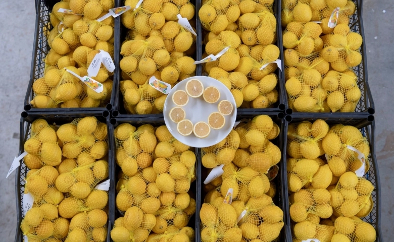 Mersin'in limonu bu kez başkent için yola çıktı