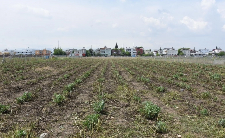 Tarsus Belediyesi, ‘Zehirsiz Sofralar Kuruyoruz’ projesi