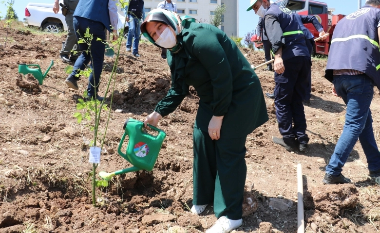 Kahramanmaraş’ta 400 sağlık çalışanı için 400 fidan