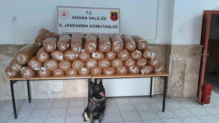 Adana’da 925  kilogram kaçak tütün ele geçirildi