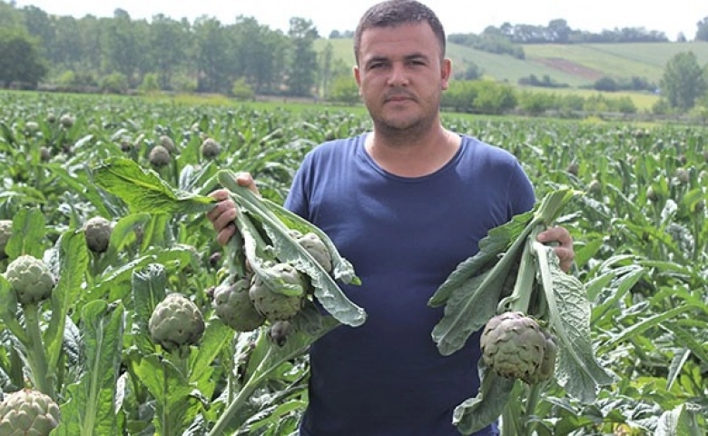 Çok pahalı ama tarlada kapış kapış satılıyor