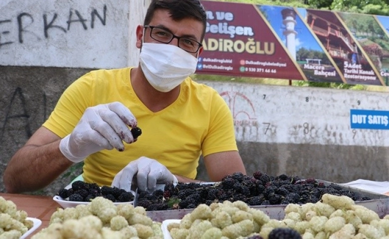 Şifa deposu ‘dut’ tezgahlarda yerini aldı