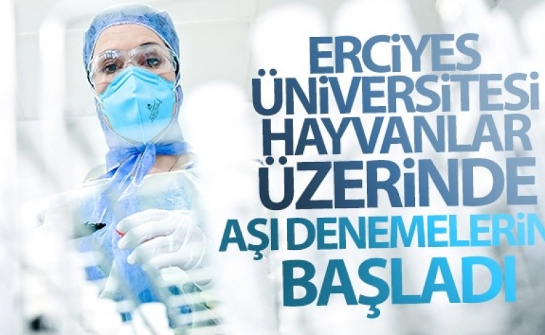 Hayvanlar üzerinde Covid-19 aşısı denemelerine başlandı