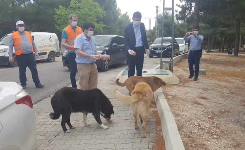 CAHİDE’nin bayram beslemesine Başkan ve Kaymakam’dan destek