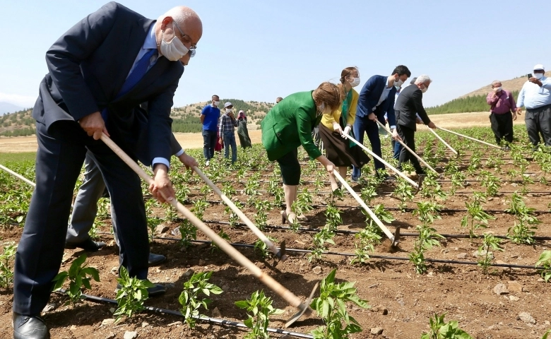 Başkan Şahin biber tarlasında çapa yaptı