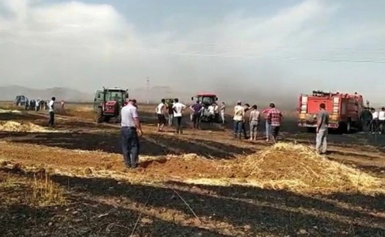 Ateşe verip kaçtılar, 600 dönüm buğday ekili tarla kül oldu