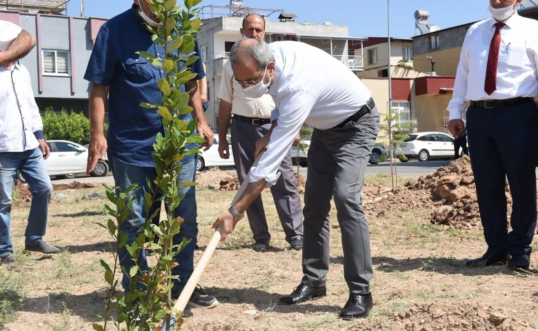 Mersin'in Tarsus ilçesinde oluşturulan koruluğa fidan dikildi