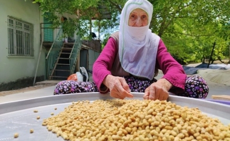 Dünyaya dut ihraç ediyorlar