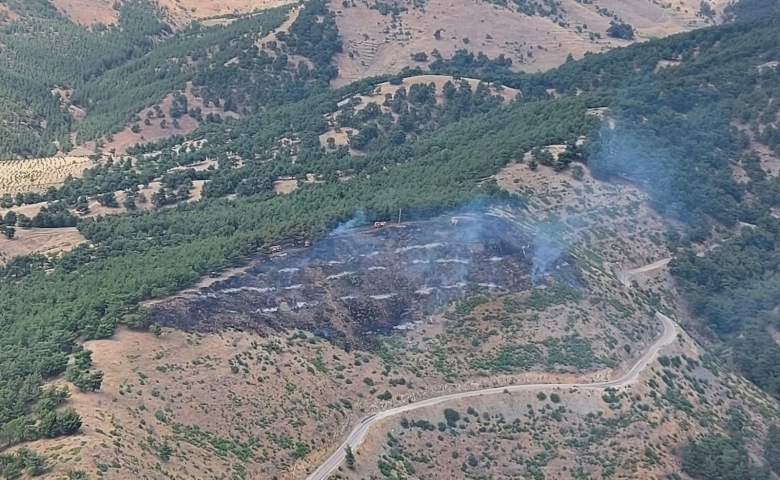 Gaziantep'te korkutan orman yangını