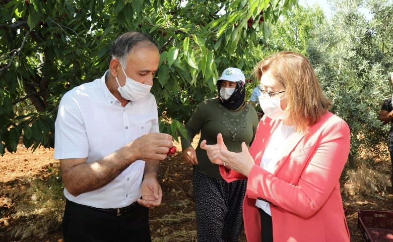 Başkan Şahin kiraz bahçelerini ziyaret etti