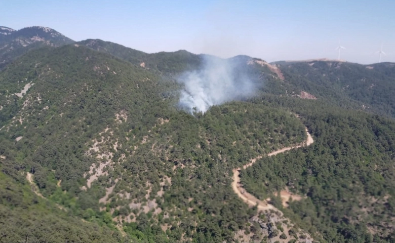 Hatay'da korkutan orman yangını