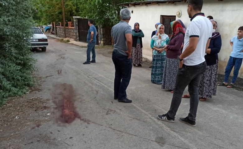 Cinnet getiren öğretmen komşularına satırla saldırdı