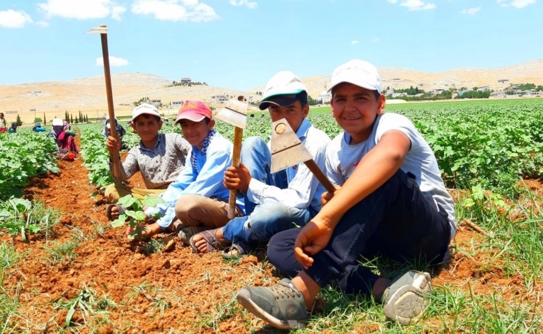  Kavurucu sıcaklıkta günlük 50 liraya çalışıyorlar