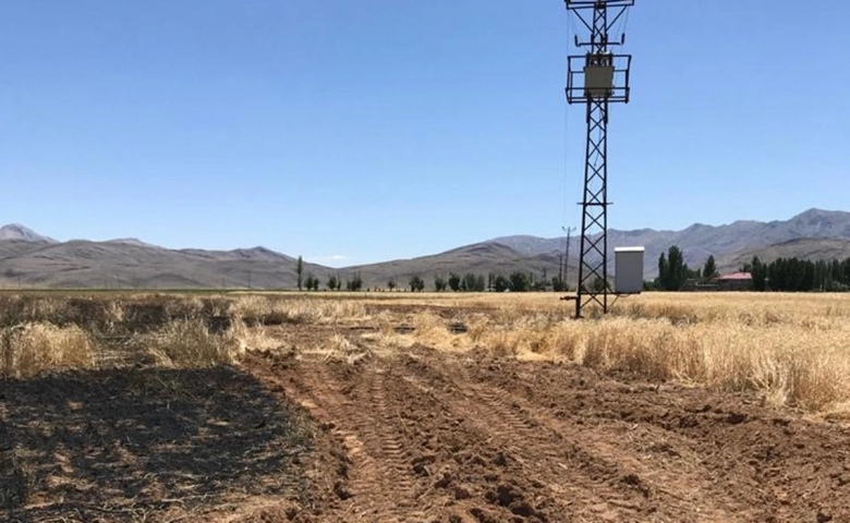 Elektrik teline çarpan karga buğday tarlasını yaktı