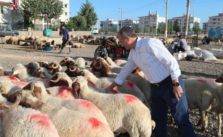 Şahinbey Belediyesin'den Türkiye’de bir ilk