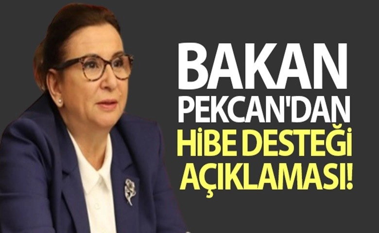 Bakan Pekcan'dan hibe desteği açıklaması