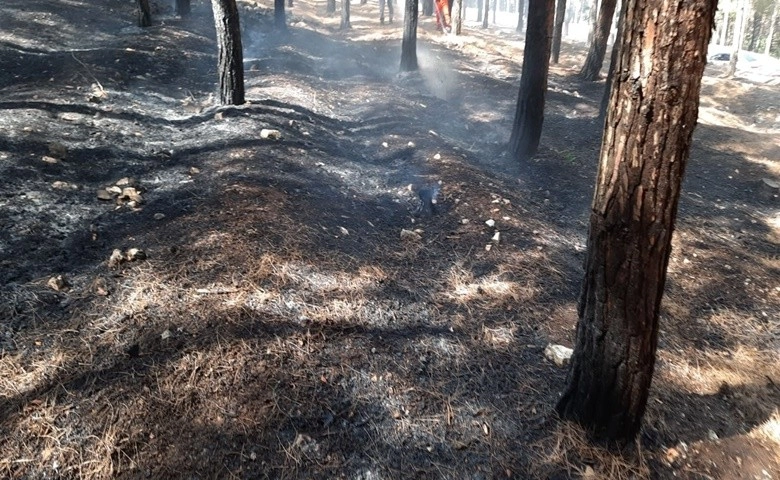 Kahramanmaraş'ta orman yangını  