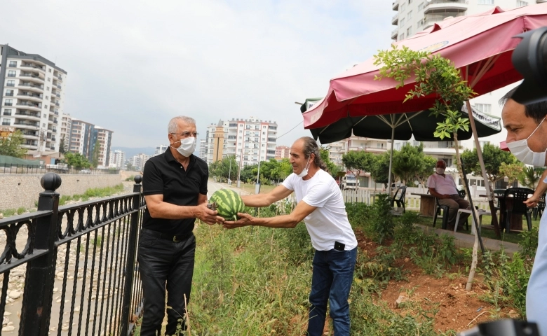 Fitnat Gürsoy Kafe Kütüphanede karpuz hasadı