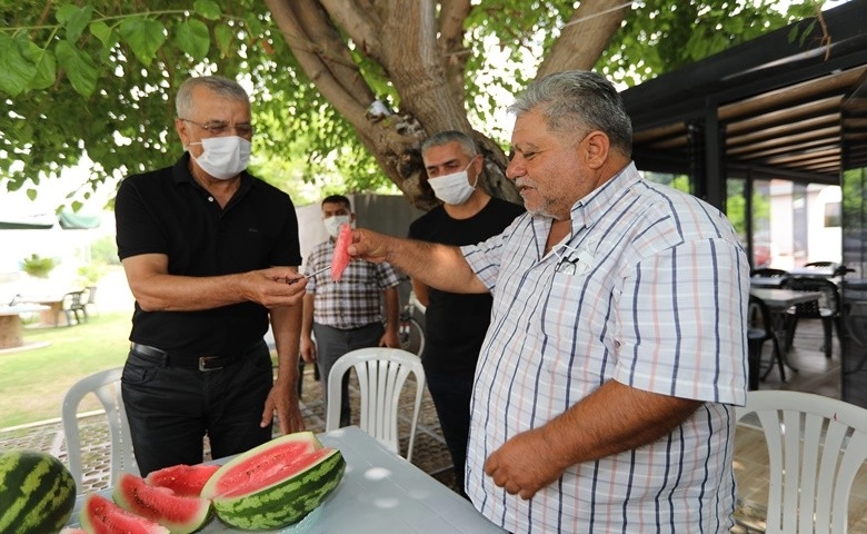 Kafe Kütüphanede karpuz hasadı  