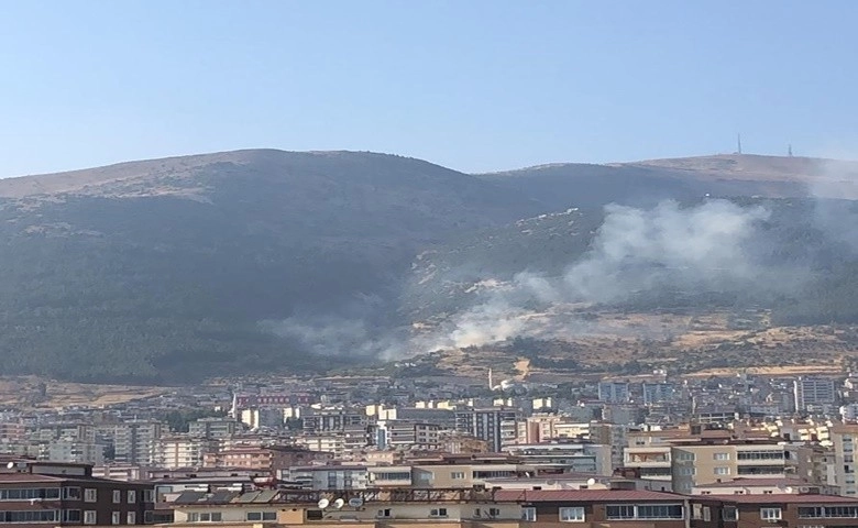 Kahramanmaraş’ta orman yangını  