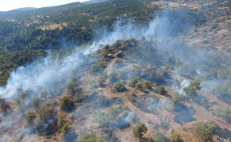 Gaziantep'te orman yangını
