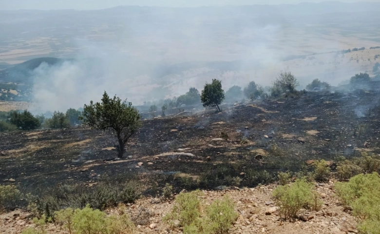 Nurdağı'nda orman alanda yangın