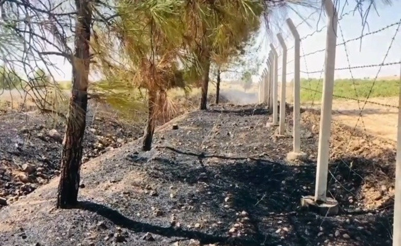 Sigara izmariti binlerce dönümlük araziyi yakacaktı