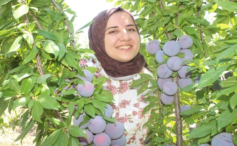 Kadın çiftçi bölgenin en büyük bahçesini kurdu