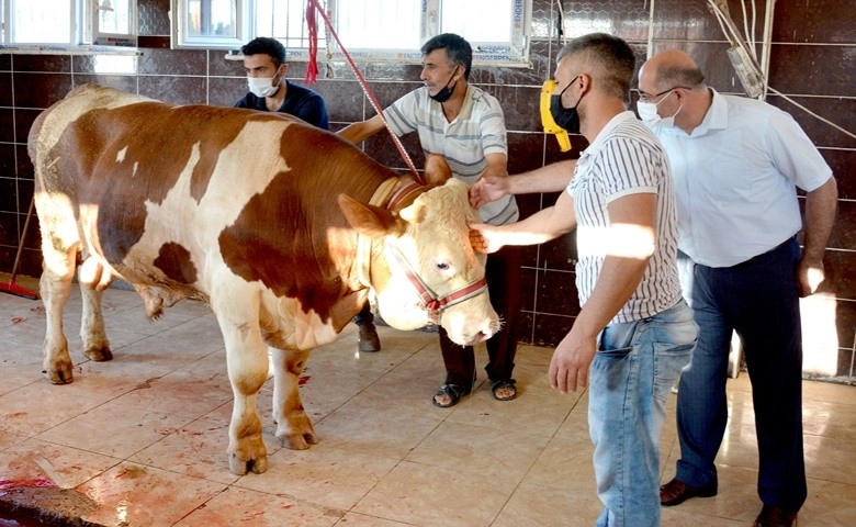 Araban Kaymakamlığı kurban kesemeyen vatandaşların adına kurban kesti  