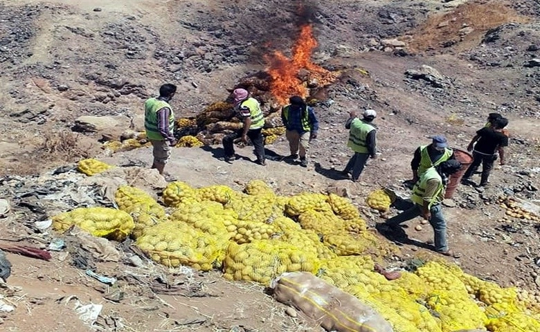 Kilis'te 25 Ton patates imha edildi  