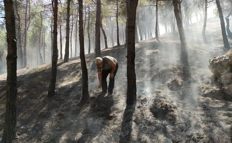 Gaziantep'te orman yangını