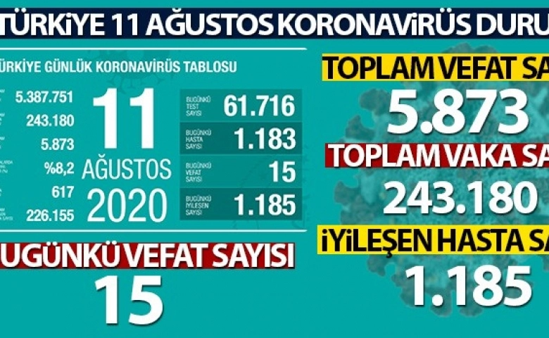 Türkiye’de vaka 5 bin 891'e yükseldi