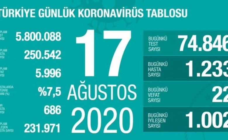 Türkiye’de virüslü vaka sayısı 250 bini geçti