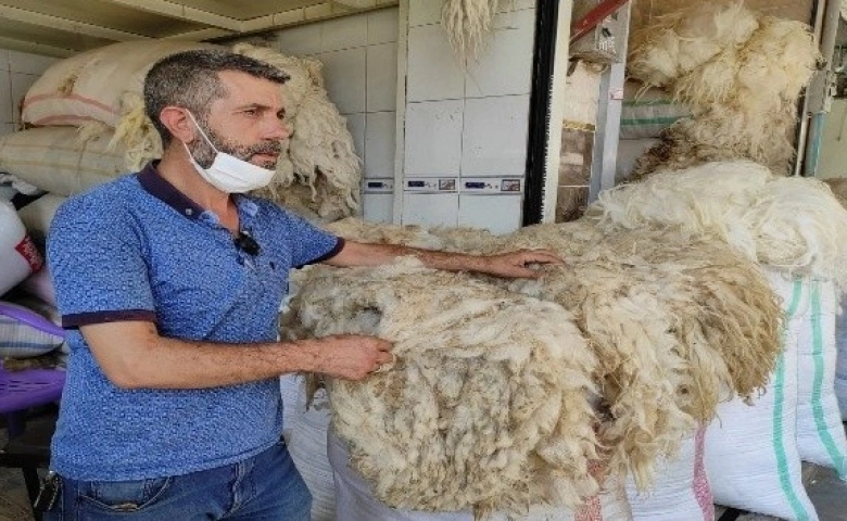 Tereyağı ile yarışan koyun yünleri elde kaldı