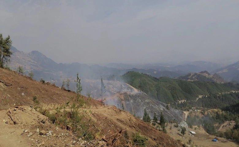 Kahramanmaraş'taki yangınlarda 65 hektar orman alanı zarar gördü  