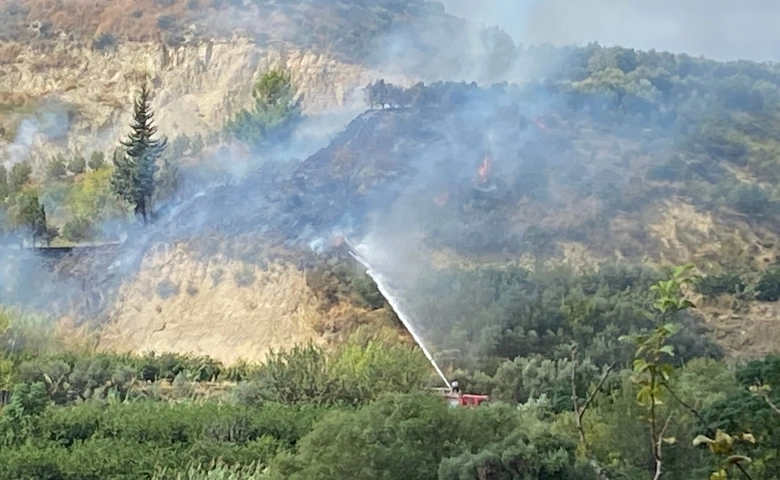 Samandağ’da yangın