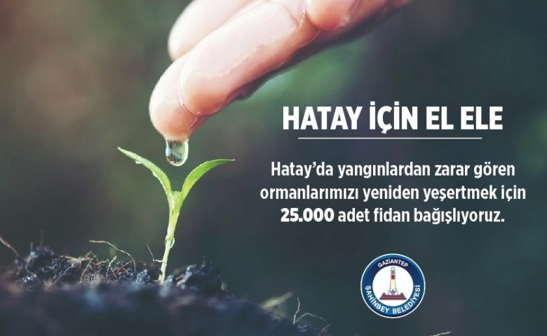 Şahinbey Belediyesi’nden Hatay’a 25 bin fidan