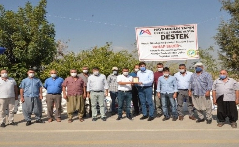 Mersin'de süt üreticilerine kaba yem tohumu desteği