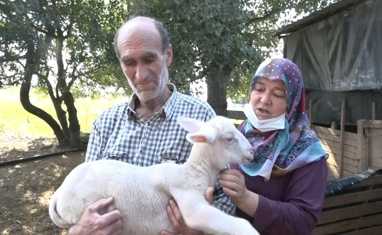 Aniden fenalaşıp yere düşüyorlar  