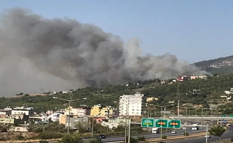 Hatay'da bir orman yangını daha  