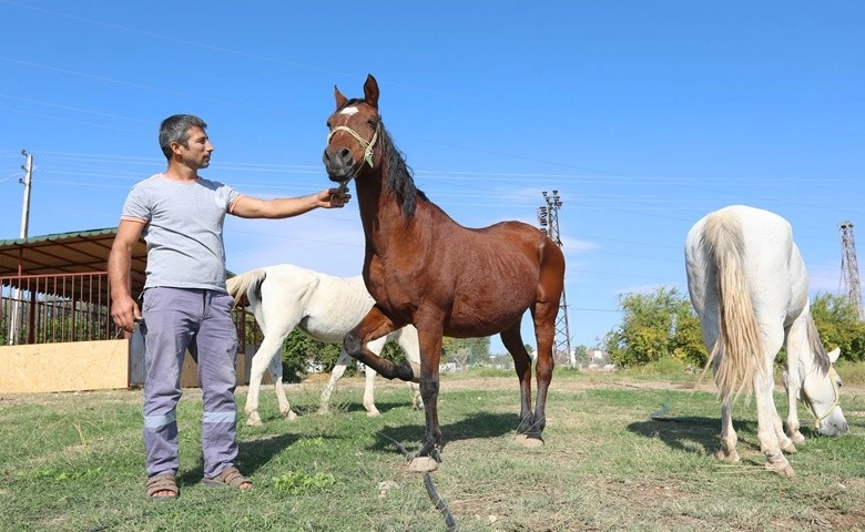 Mezitli Belediyesinin ‘Mutlu Yaşam Köyü’ projesinde sona gelindi