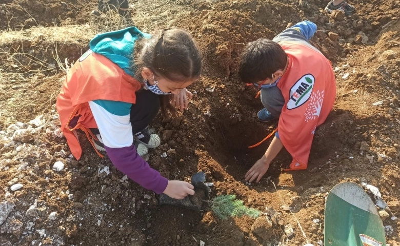 Kahramanmaraş’ta 156 bin fidan toprakla buluştu