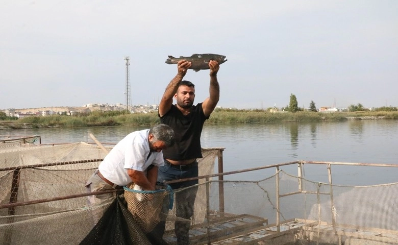 Karadeniz’in balığı Güneydoğu’dan  