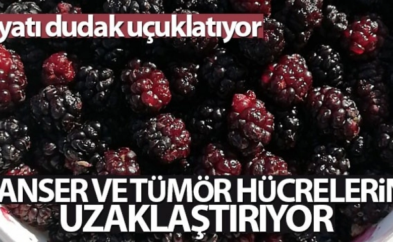 Kanser ve tümör hücrelerini yok ediyor ama, fiyatı dudak uçuklatıyor