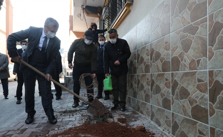 Şahinbey’de 5 bin adet asma fidanı dikildi