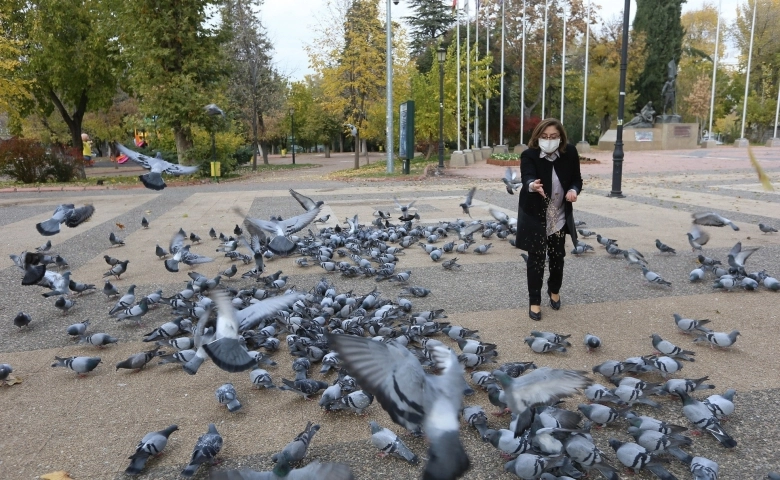 Fatma şahin sokaktaki hayvanları elleriyle  besledi